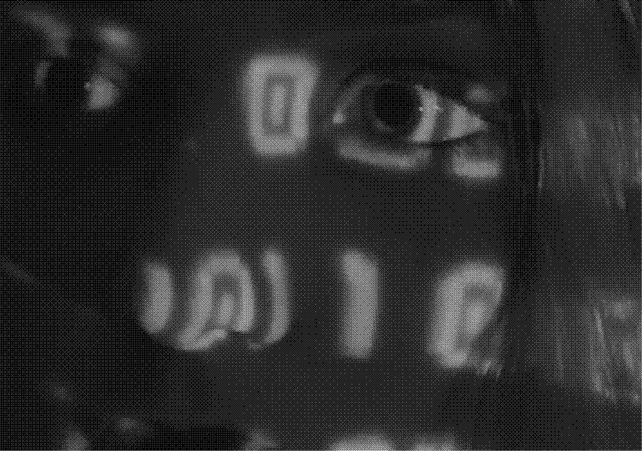 a person with long hair shrouded in shadow with red binary code projected on their face.