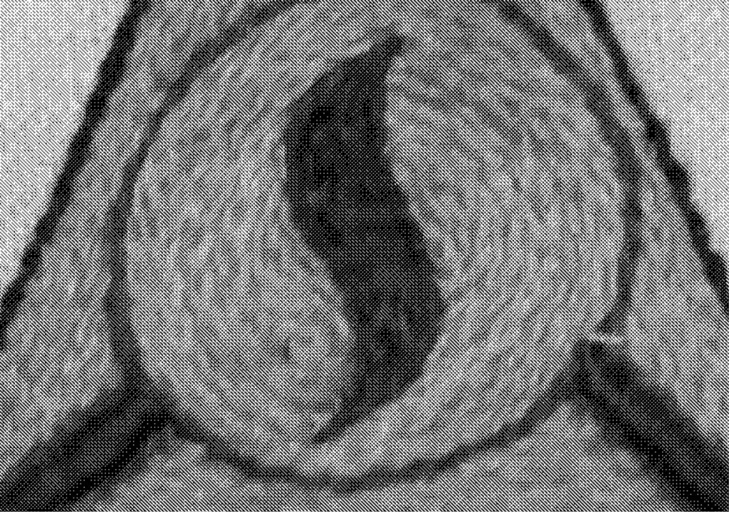 greyscale image of a sewn totem